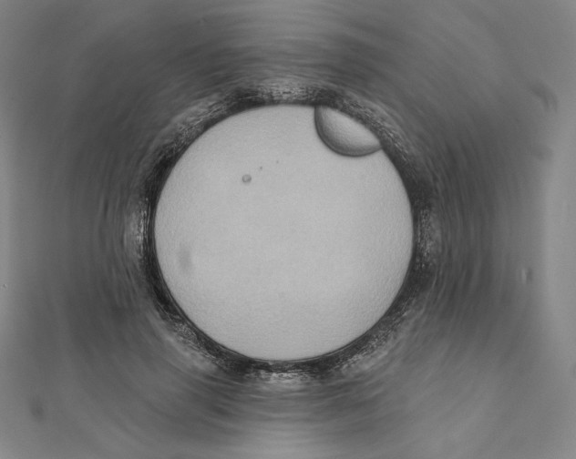 X0000112030645200908311216