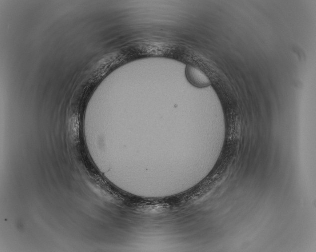 X0000112030646200908311216