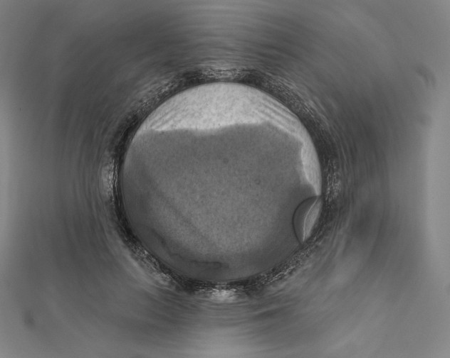 X0000112030647200908311216