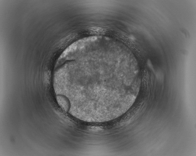 X0000112030649200908311216