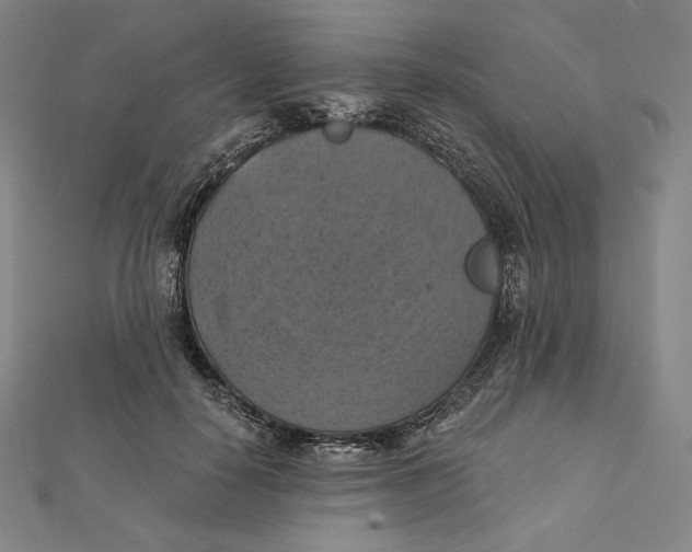 X0000112030650200908311216