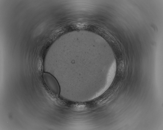 X0000112030651200908311216