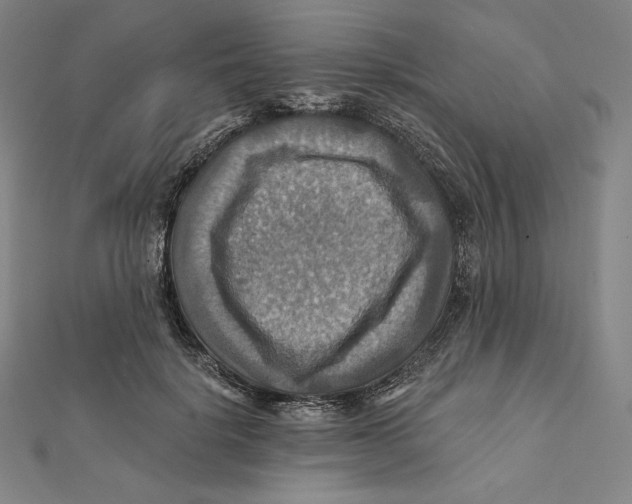 X0000112030652200908311216