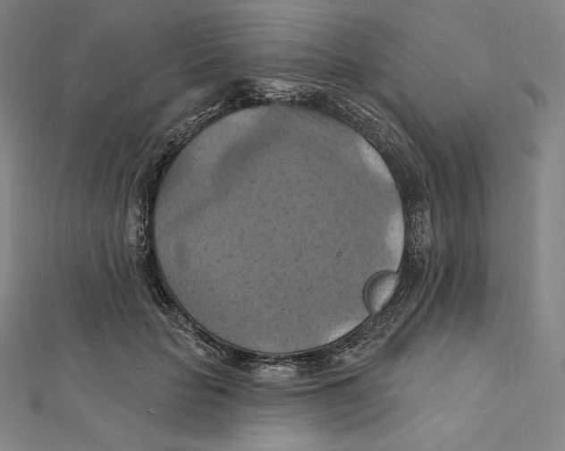 X0000112030653200908311216