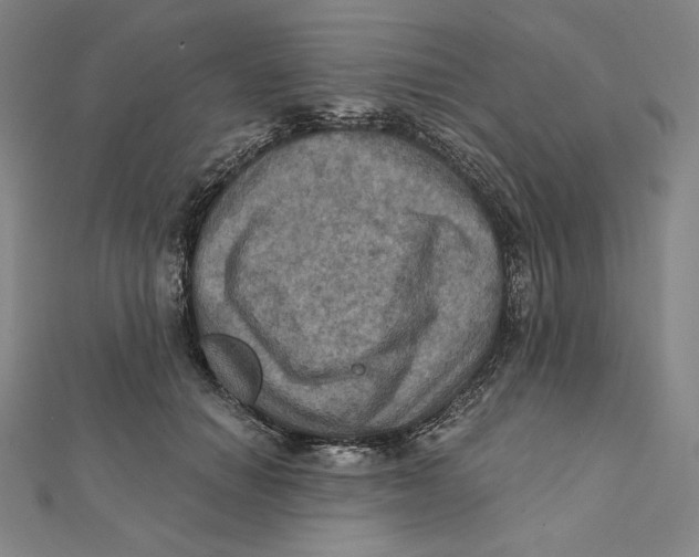 X0000112030654200908311216