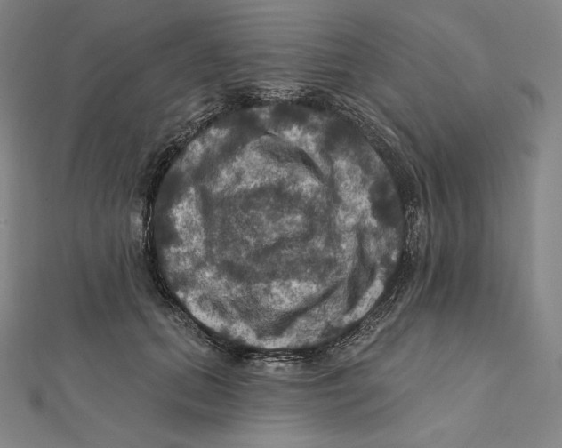 X0000112030655200908311216