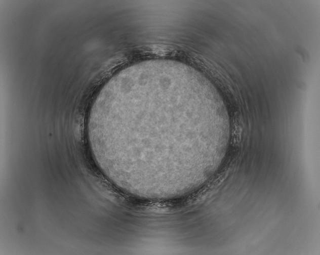 X0000112030656200908311216