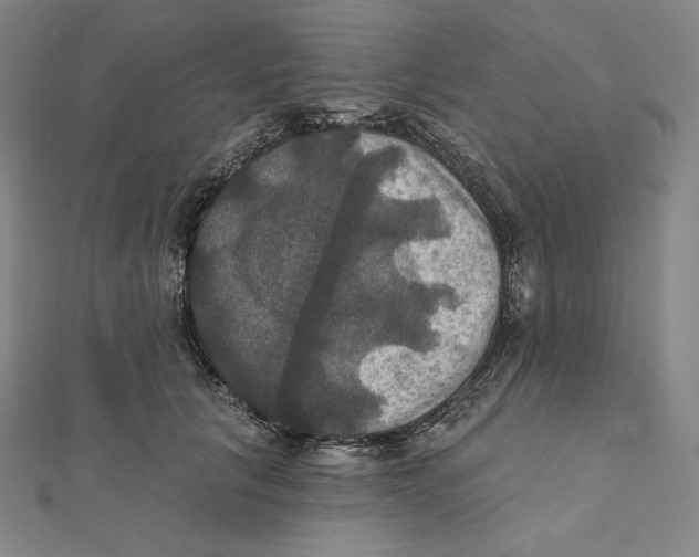 X0000112030657200908311216