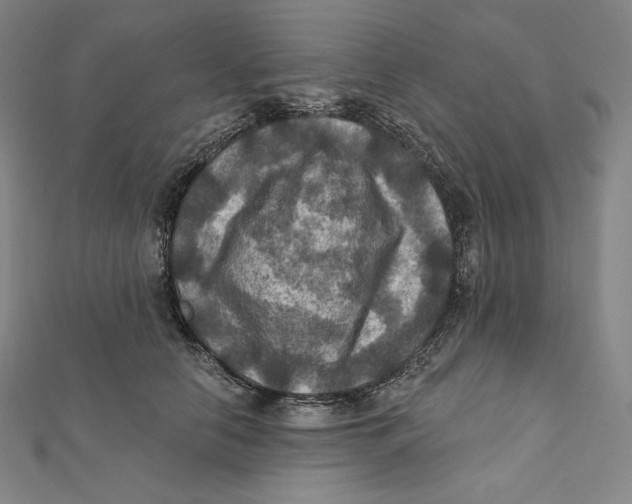 X0000112030658200908311216
