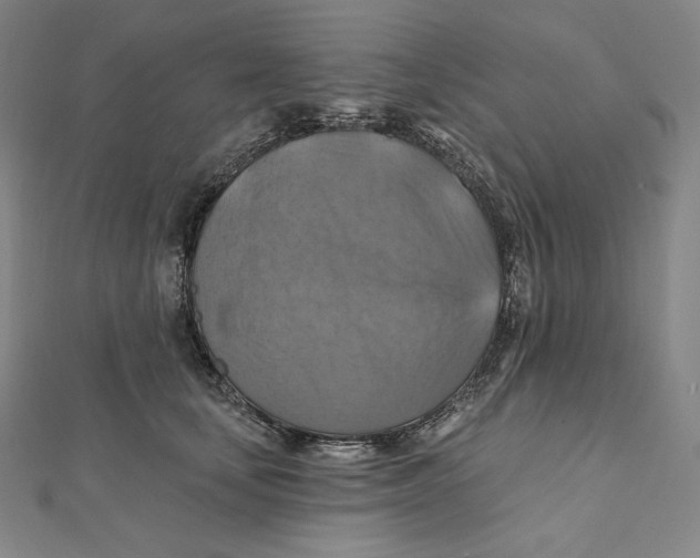 X0000112030659200908311216