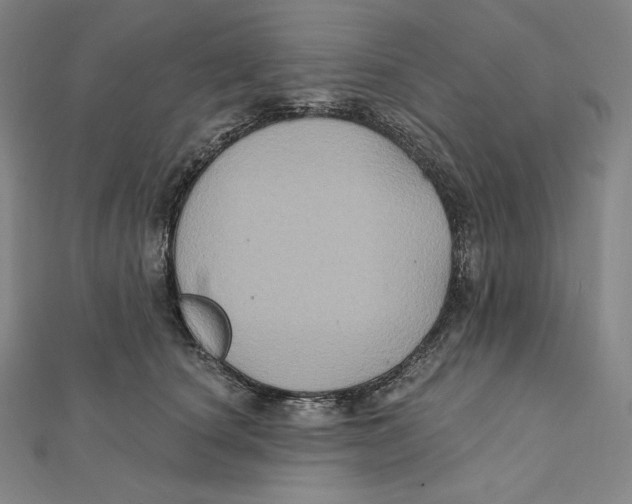 X0000112030660200908311216