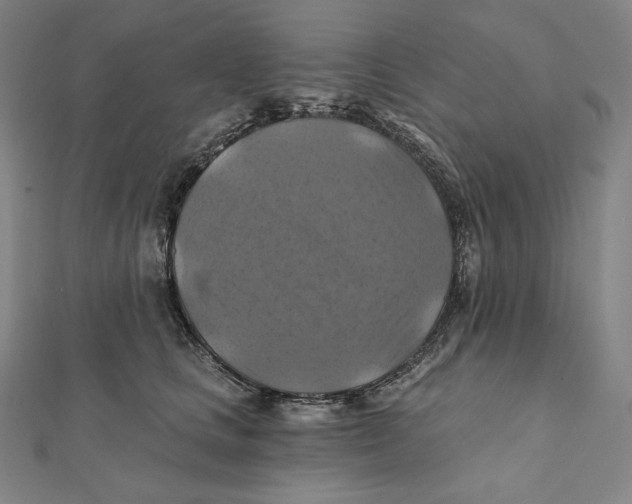 X0000112030661200908311216