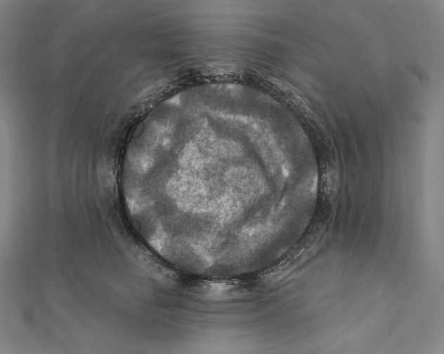 X0000112030662200908311216