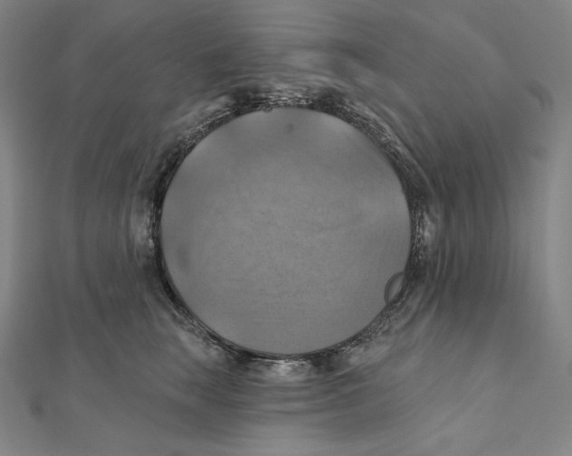 X0000112030663200908311217