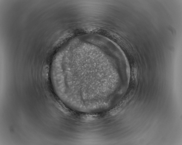 X0000112030664200908311217