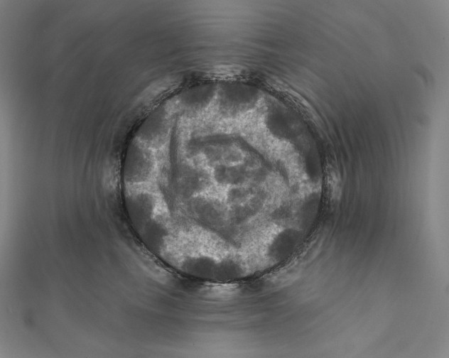 X0000112030665200908311217