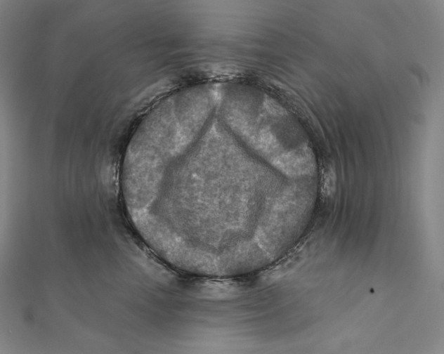 X0000112030666200908311217