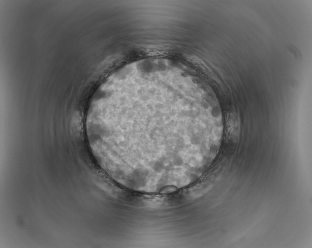 X0000112030667200908311217