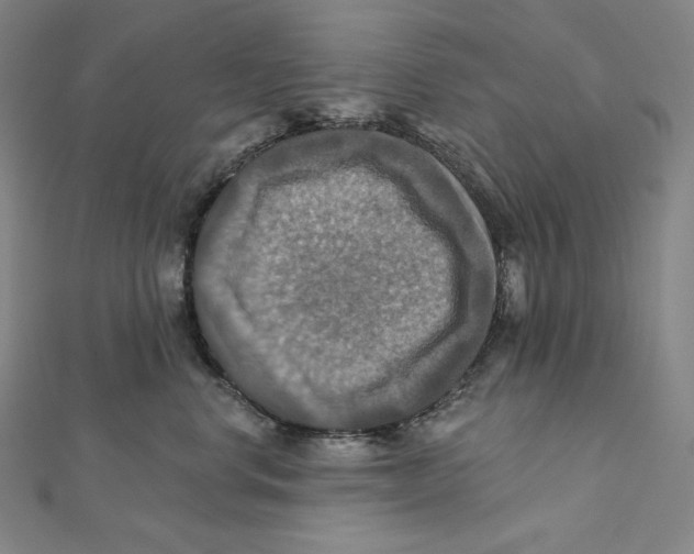 X0000112030668200908311217