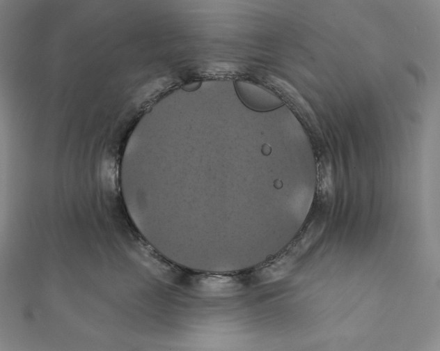 X0000112030669200908311217