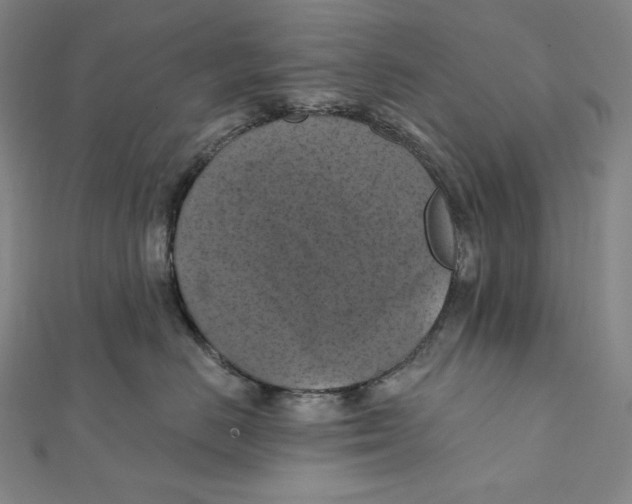 X0000112030670200908311217