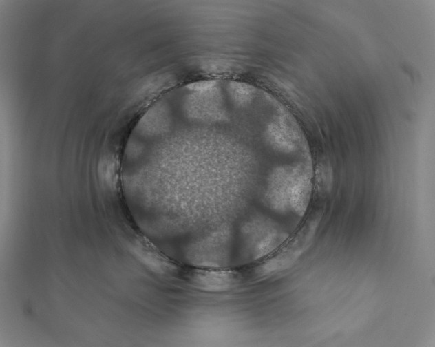 X0000112030671200908311217