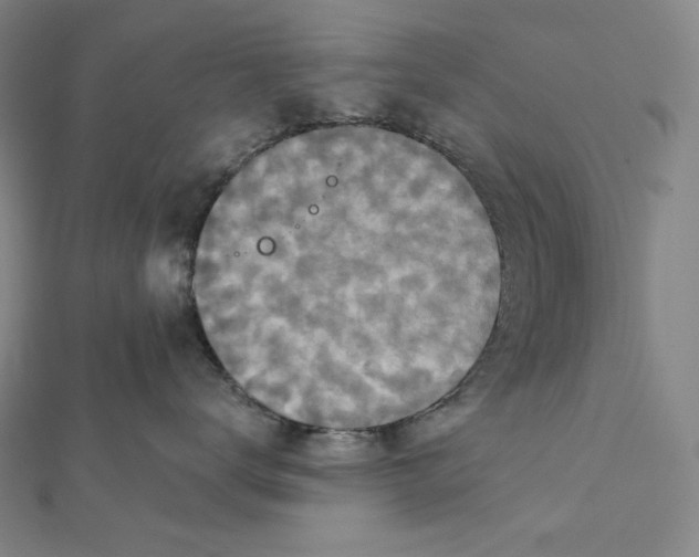 X0000112030672200908311217