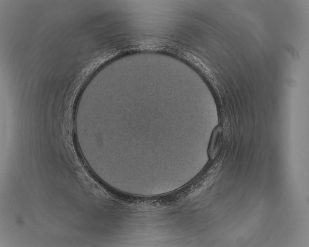 X0000112030673200908311216