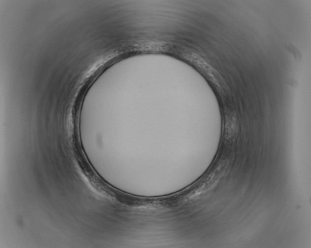 X0000112030674200908311216