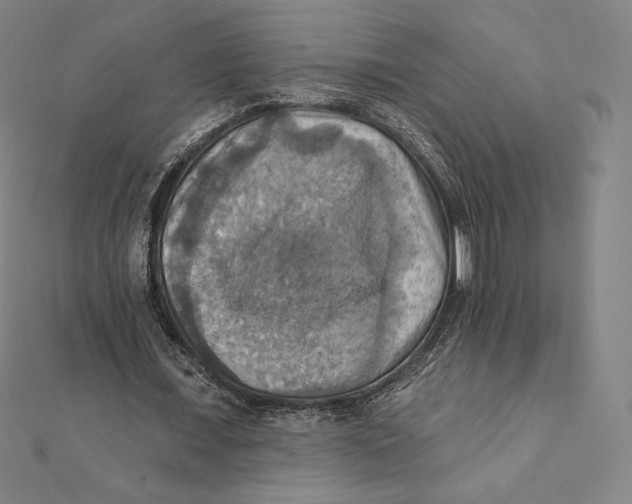 X0000112030675200908311216