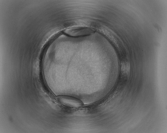 X0000112030676200908311216