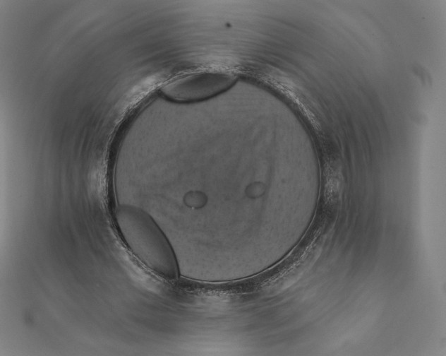X0000112030677200908311216
