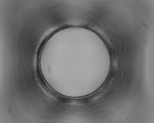 X0000112030678200908311216