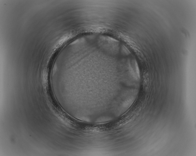 X0000112030679200908311216