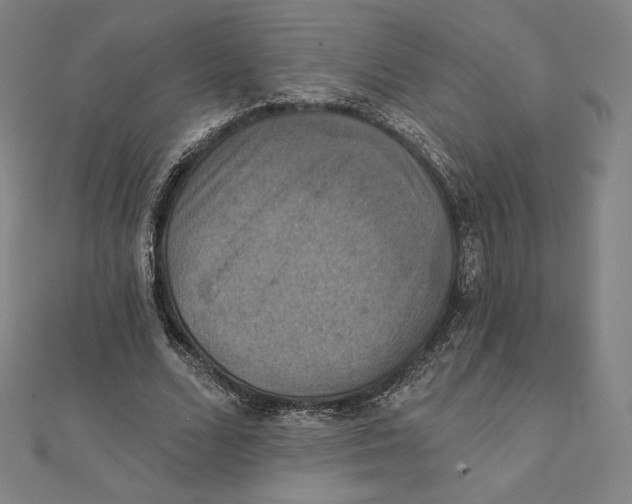 X0000112030680200908311216