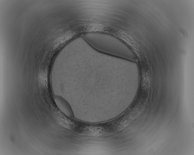 X0000112030681200908311216