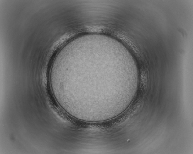 X0000112030682200908311216