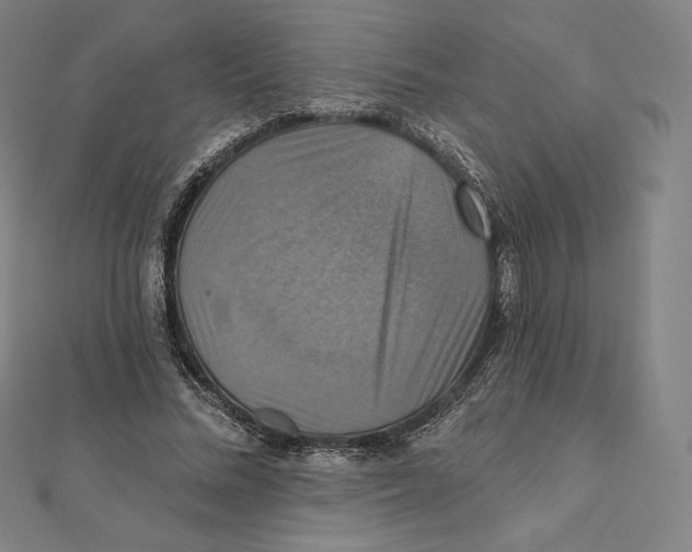 X0000112030684200908311216