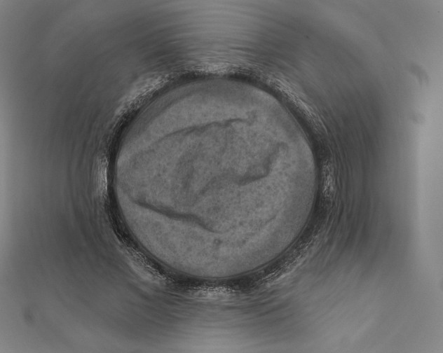 X0000112030685200908311216