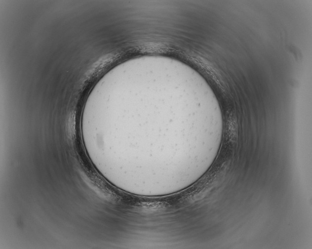 X0000112030686200908311216