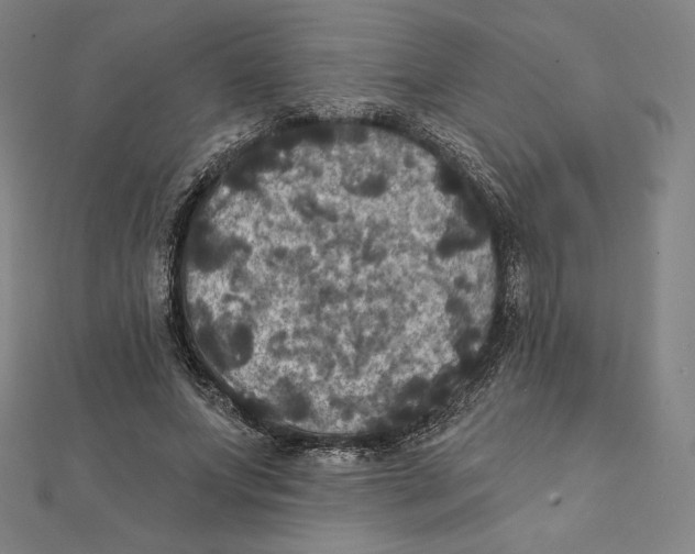 X0000112030687200908311216
