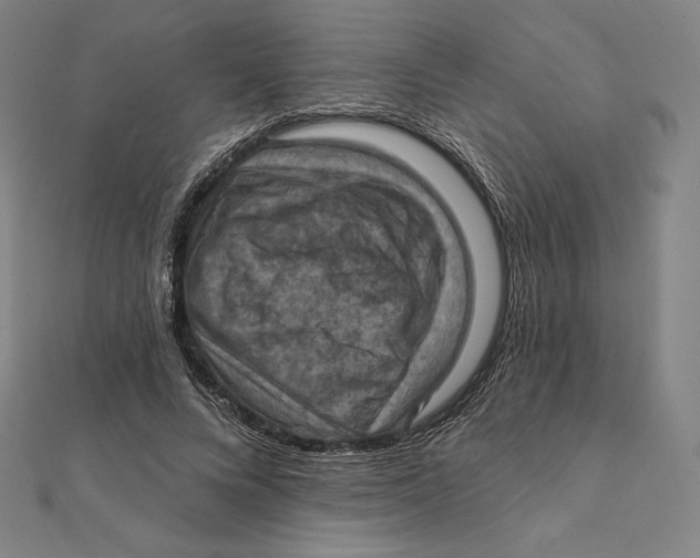X0000112030688200908311216