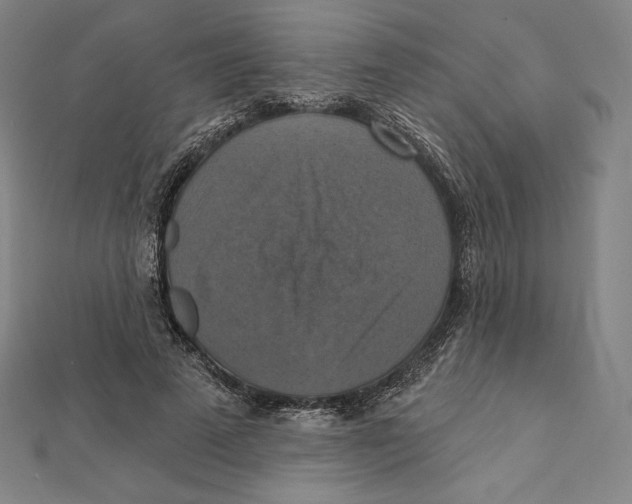 X0000112030689200908311216