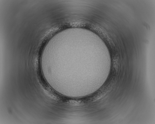 X0000112030690200908311216