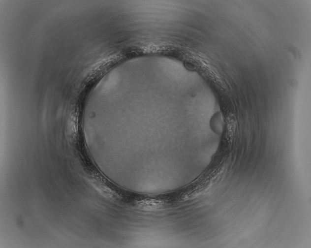 X0000112030691200908311216