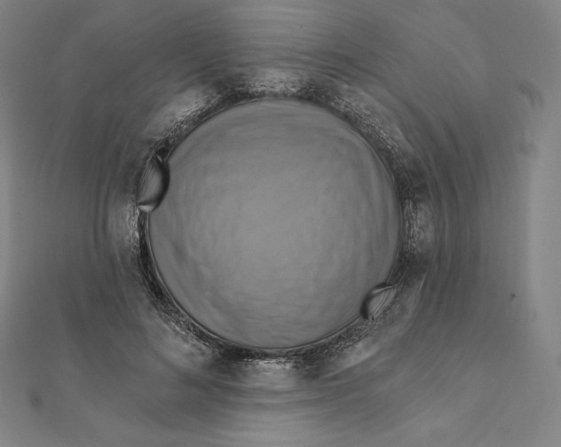 X0000112030692200908311216