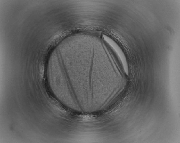 X0000112030693200908311216