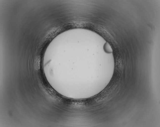 X0000112030694200908311216