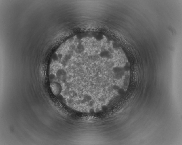 X0000112030695200908311216