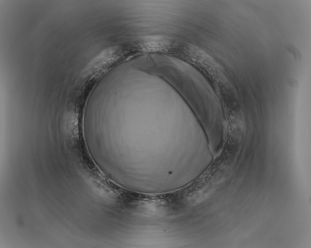 X0000112030696200908311216